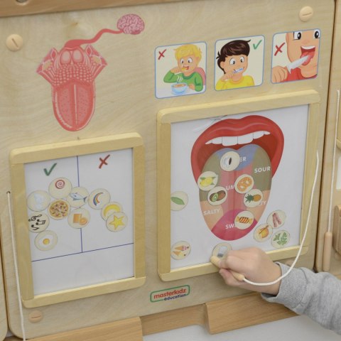 MASTERKIDZ Tablica Edukacyjna Zmysł Wzroku Montessori MASTERKIDZ Tablica Edukacyjna Zmysł Wzroku Montessori