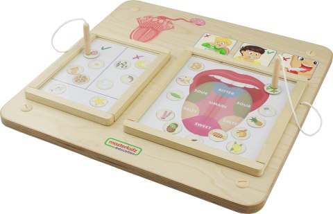 MASTERKIDZ Tablica Edukacyjna Zmysł Wzroku Montessori MASTERKIDZ Tablica Edukacyjna Zmysł Wzroku Montessori