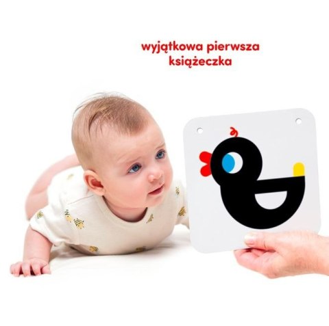 Duże karty kontrastowe dla dzieci 0 i 3 mies.+ Duże karty kontrastowe dla dzieci 0 i 3 mies.+