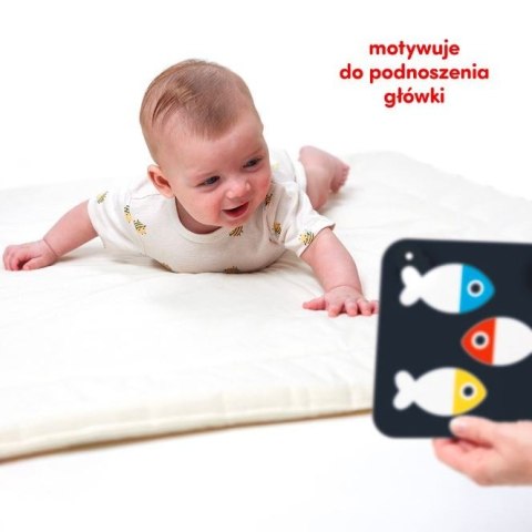Duże karty kontrastowe dla dzieci 0 i 3 mies.+ Duże karty kontrastowe dla dzieci 0 i 3 mies.+