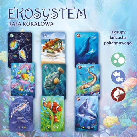 Gra Eko system 2 Rafa koralowa