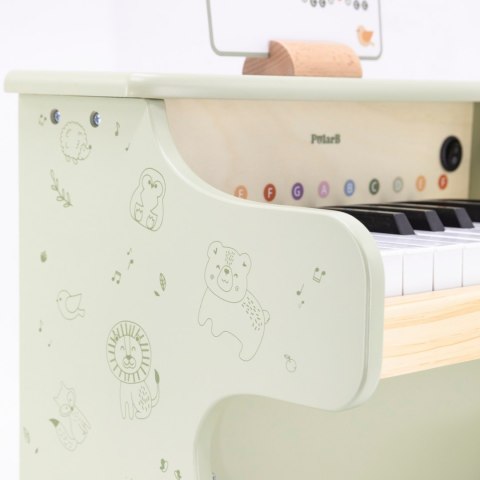 Viga Pianino Zielone Nauka Gry